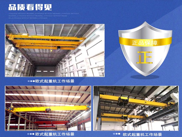 <b>云南迪庆行车行吊销售厂家LD型20航吊多少钱</b>