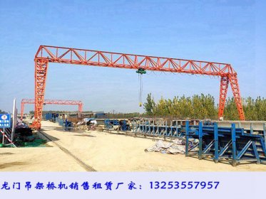 <b>河北秦皇岛门式起重机厂家5吨单梁花架龙门吊</b>